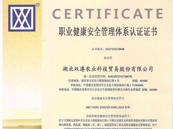 職業(yè)健康安全管理體系認證證書