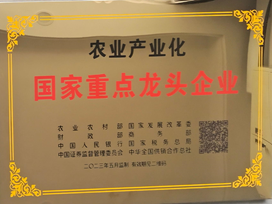 重點龍頭企業