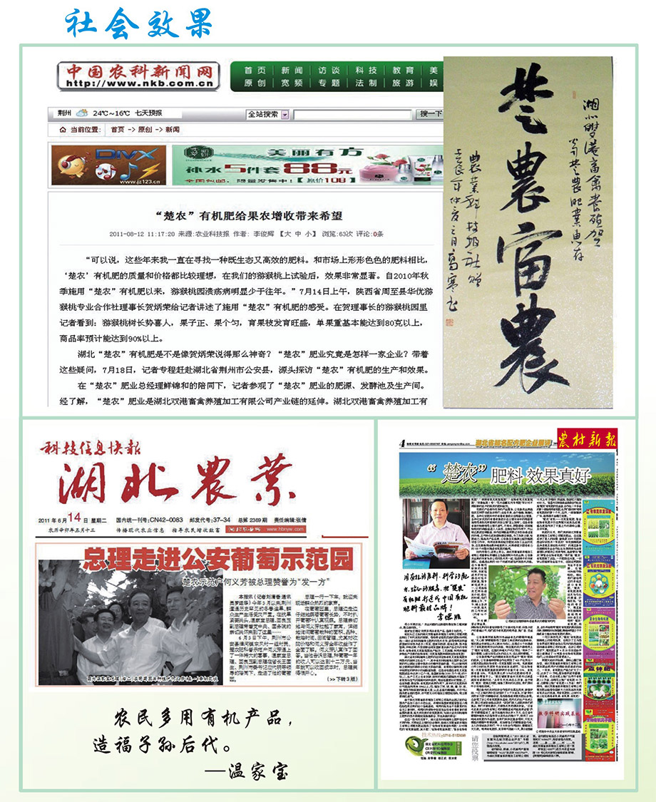 湖北生物肥廠家