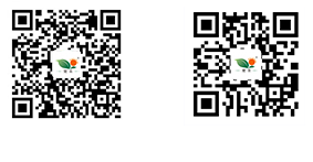湖北生物肥廠家